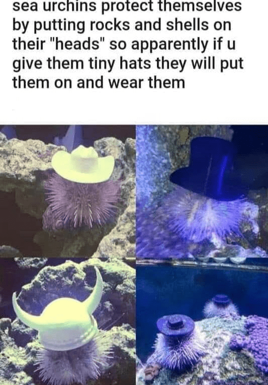 1760841440332.png