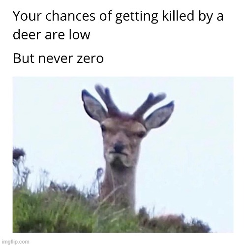 1763336863616.png