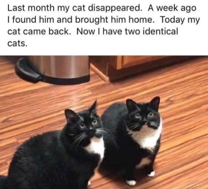 1765767696392.jpeg