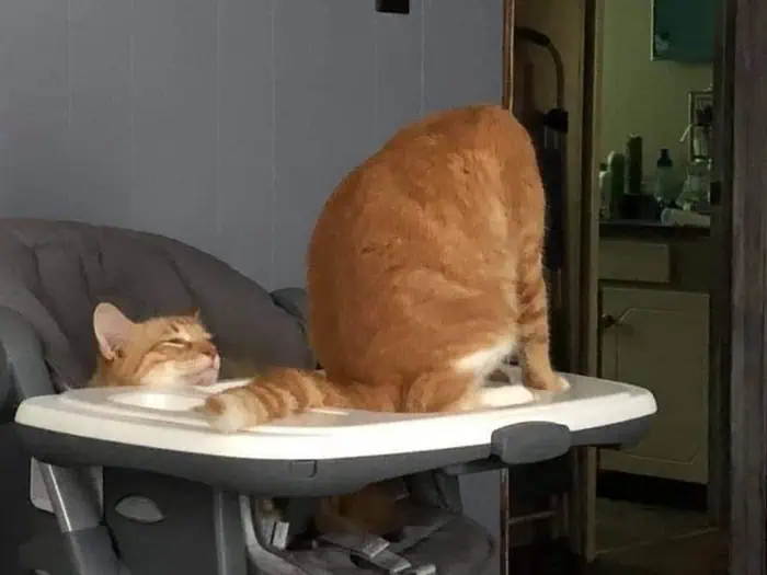 1772081521884.png