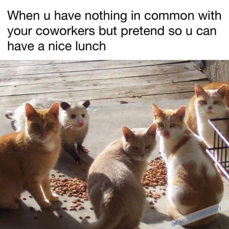 1775185528206.png