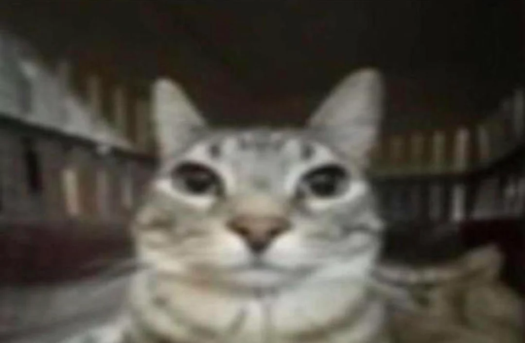 1790924802918.png