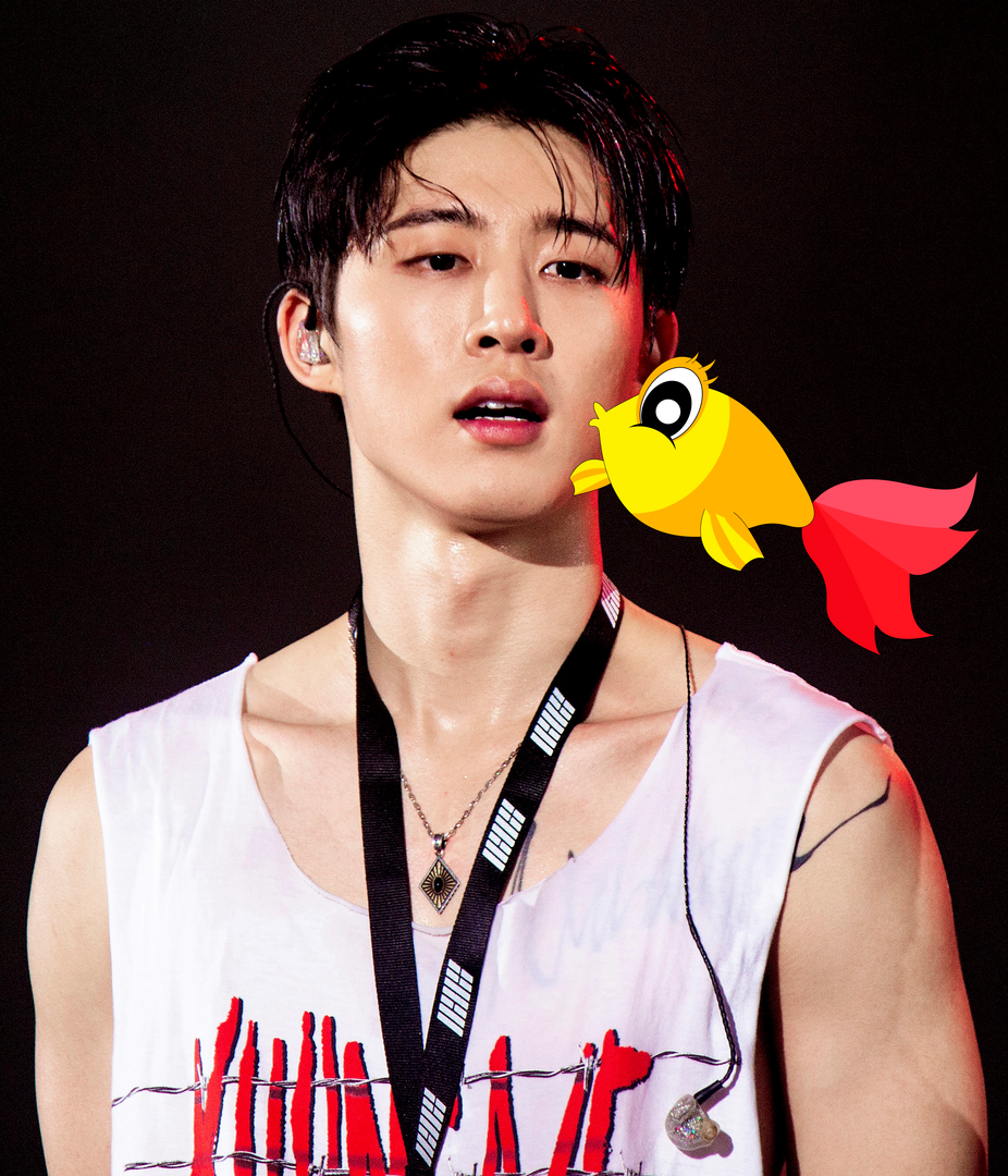 180818_iKON_2018_Continue_Tour_in_Seoul_비아이_01_crop.png