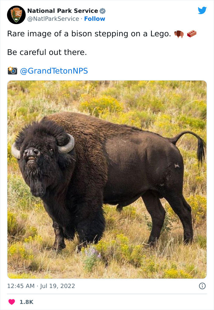 1B3B4181-E079-4B06-884F-F03F62F6E0A9.jpeg