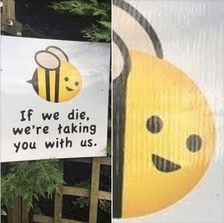 1CFC52E7-06F5-4822-9E24-01DA2A4FC377.jpeg