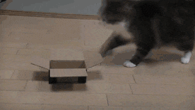 1E84800C-1C3D-487C-846F-E41166920F09.gif