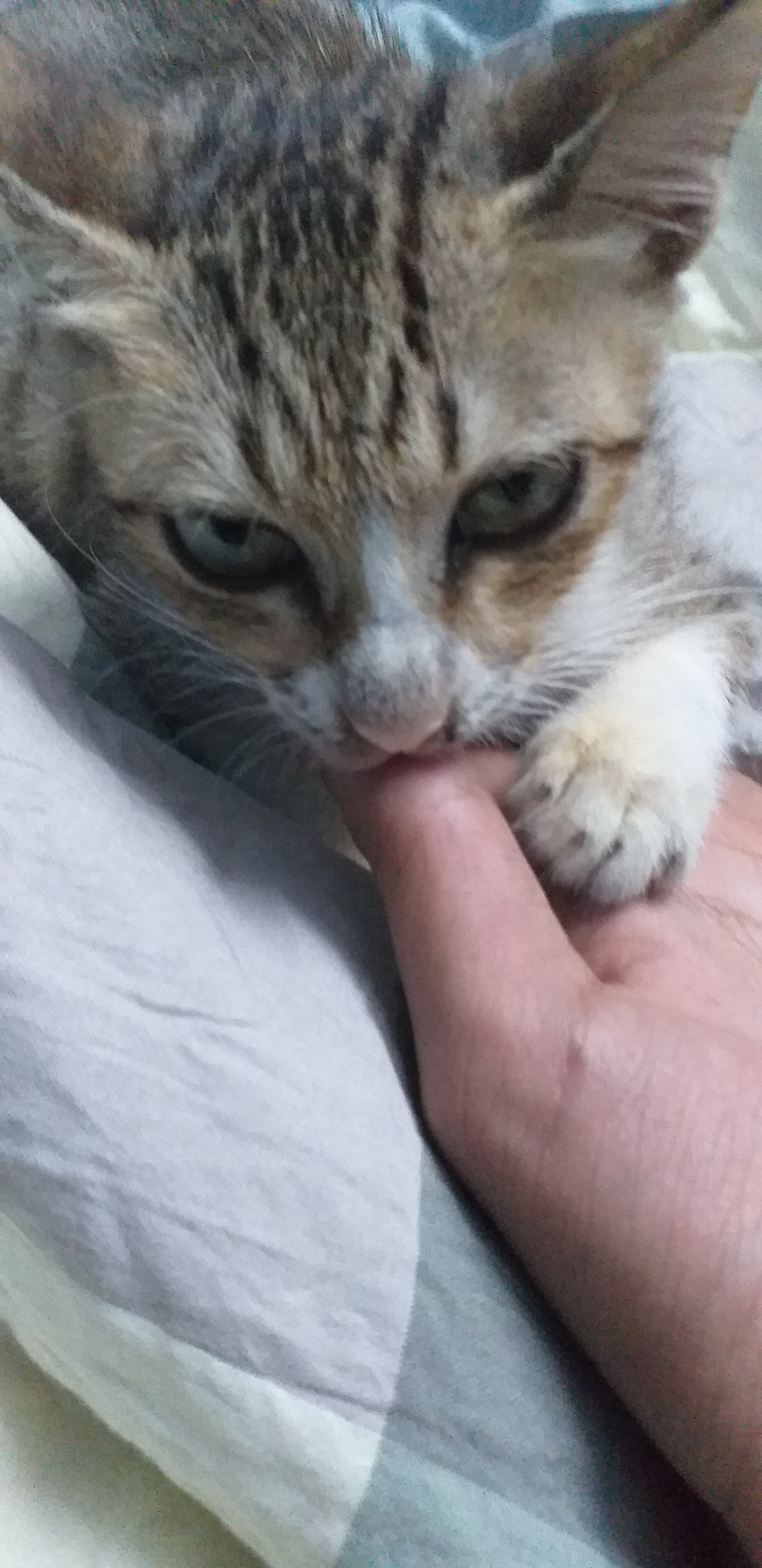 20190105_183623.jpg