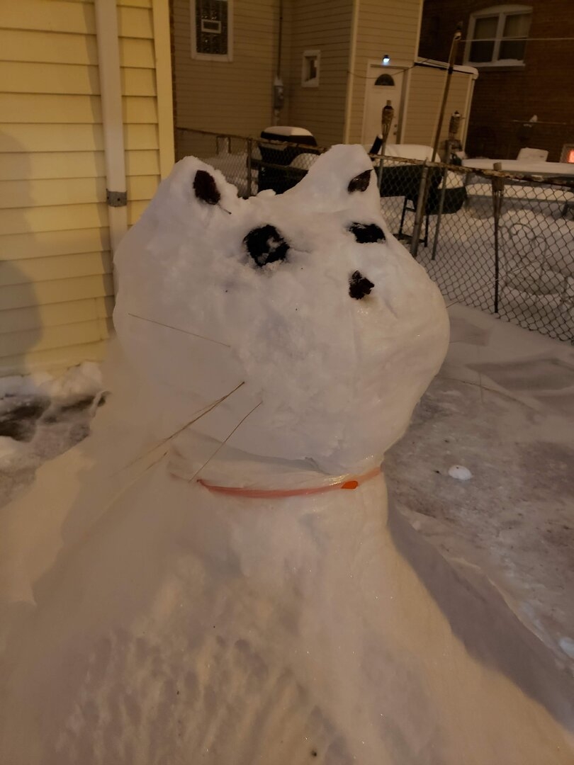 20190119_174422.jpg