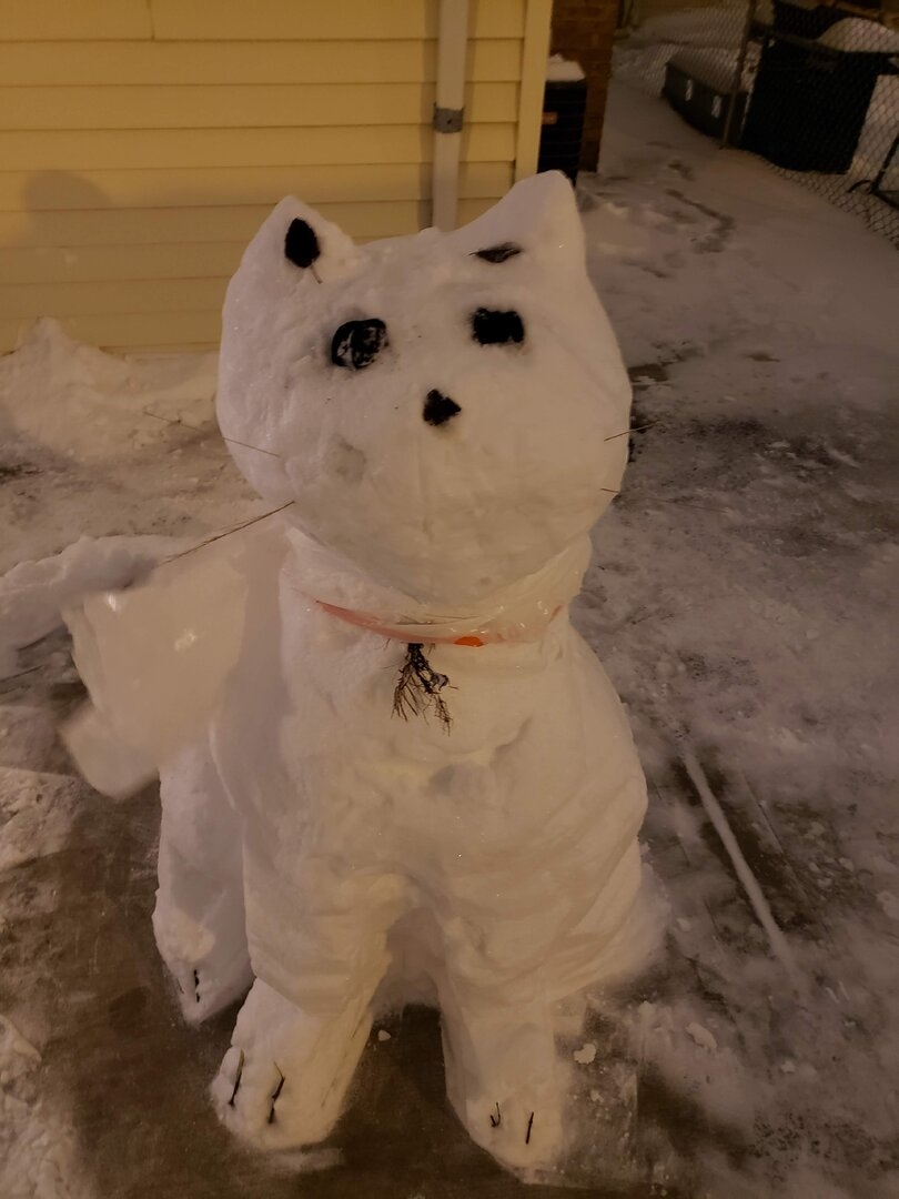 20190119_184738.jpg