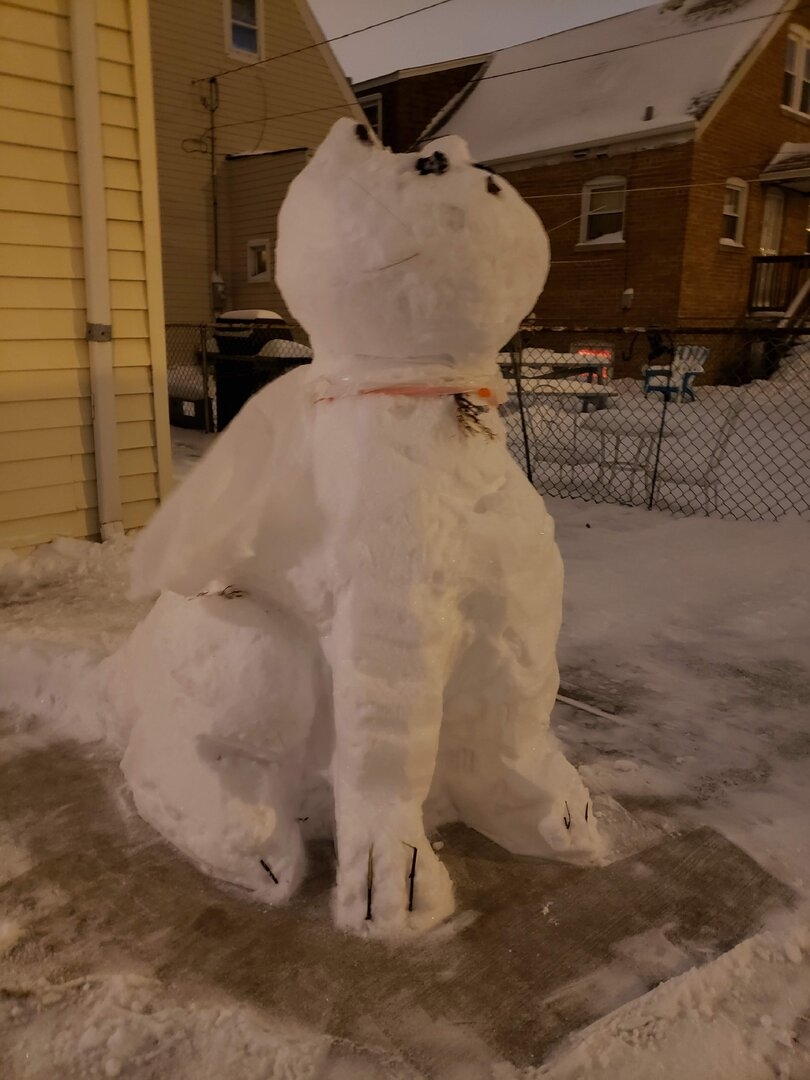 20190119_184746.jpg