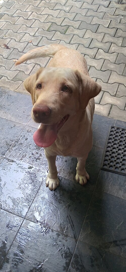20201001_135036.jpg