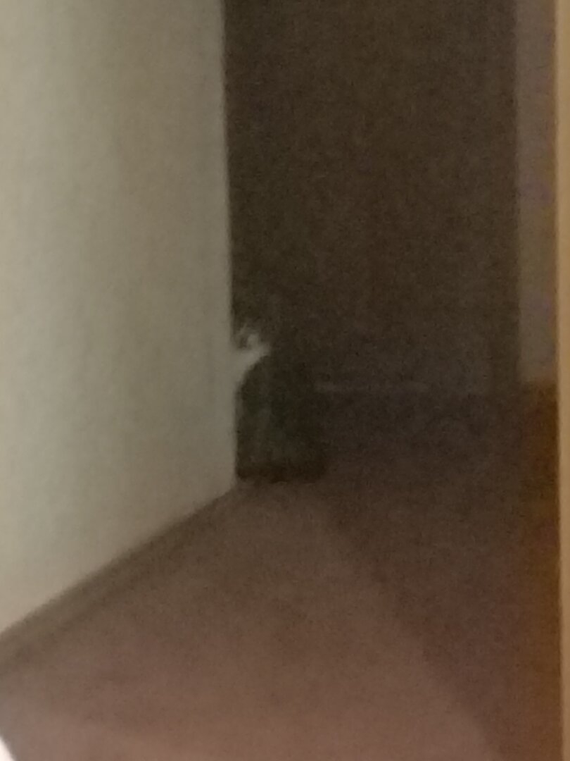 20201224_133146.jpg