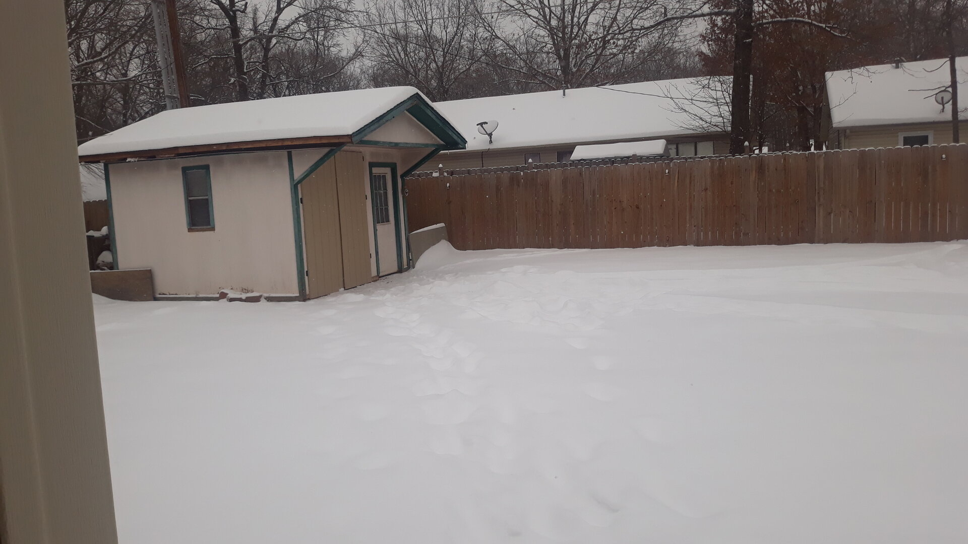 20210215_110659.jpg