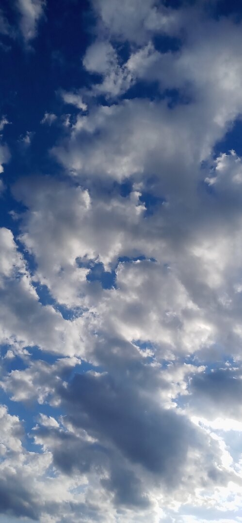 20220731_185310.jpg