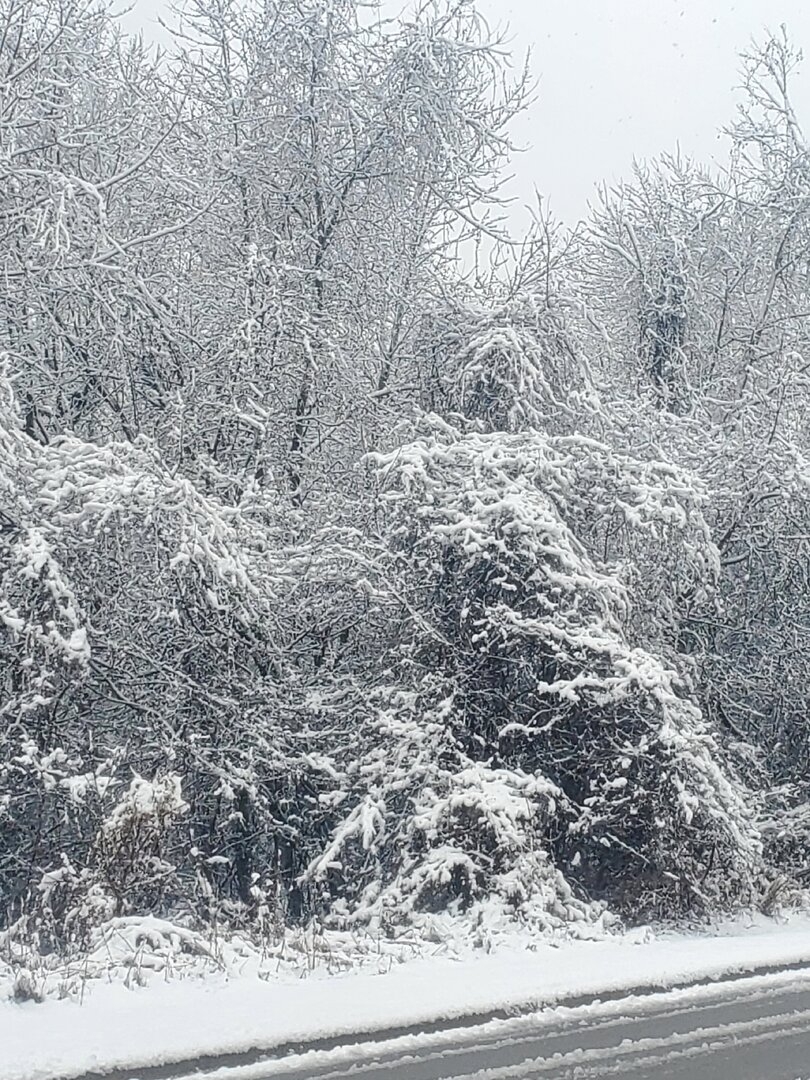 20230125_094948.jpg