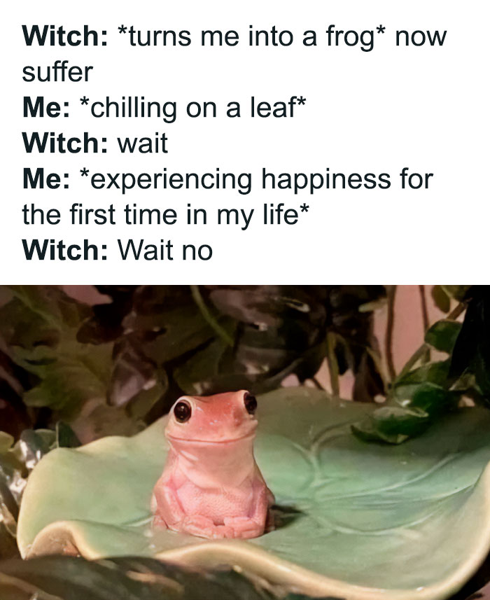 20230430_142443.png