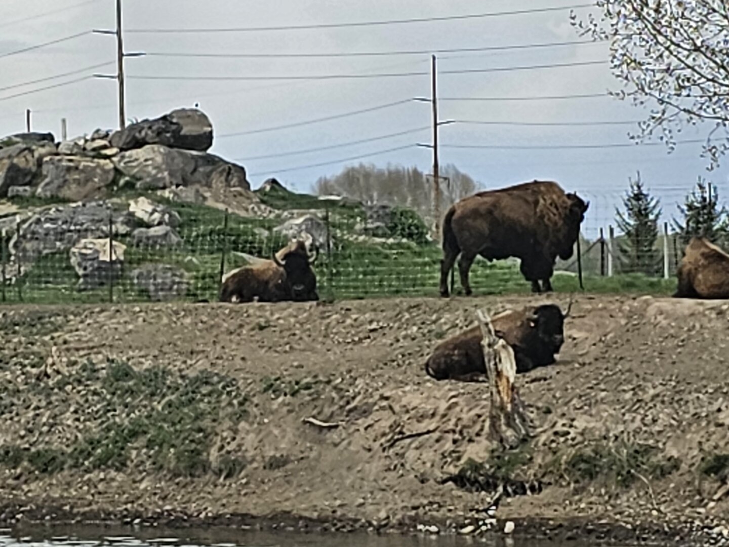 20230515_125321(0)[1].jpg