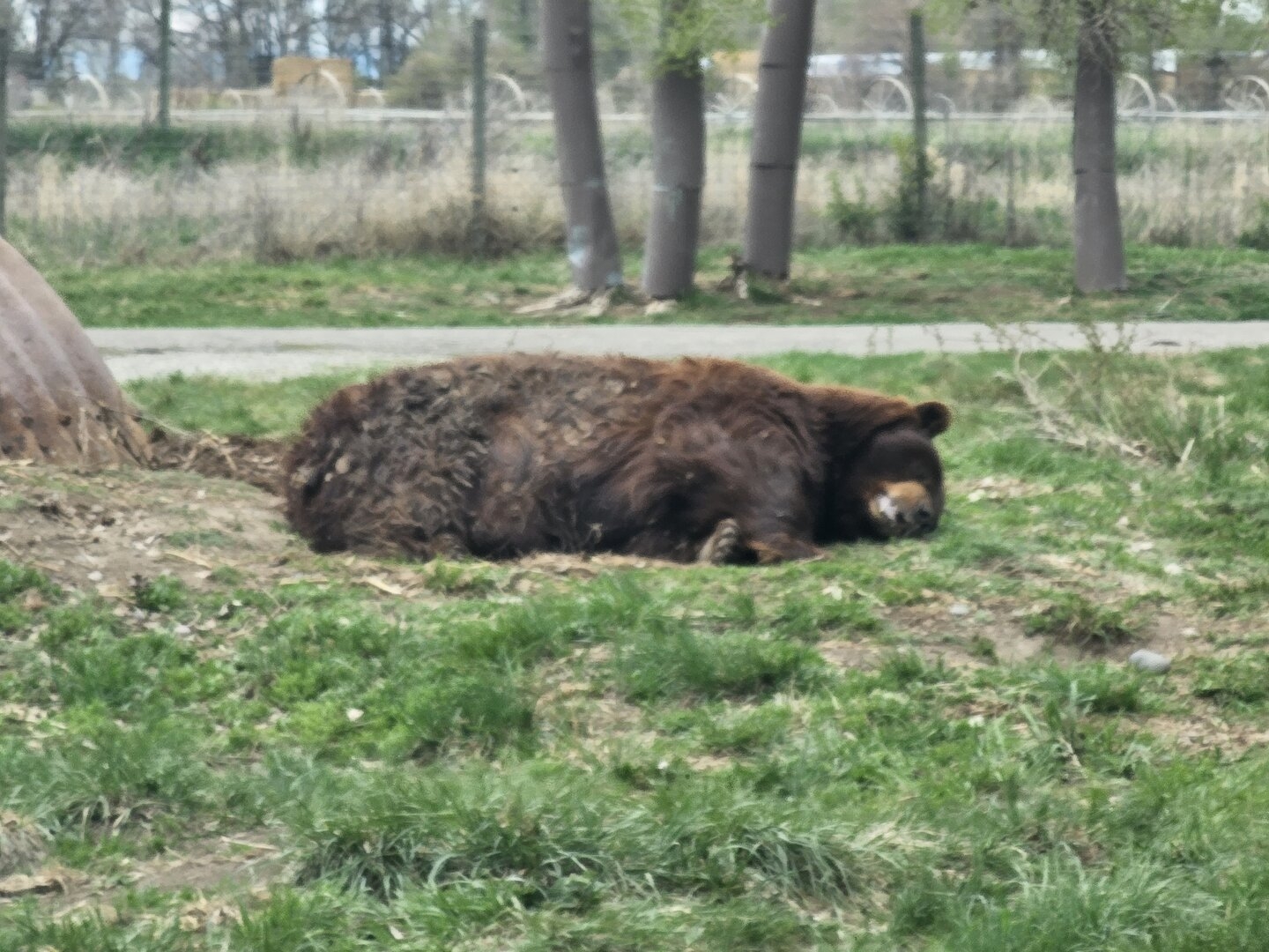 20230515_130233[1].jpg