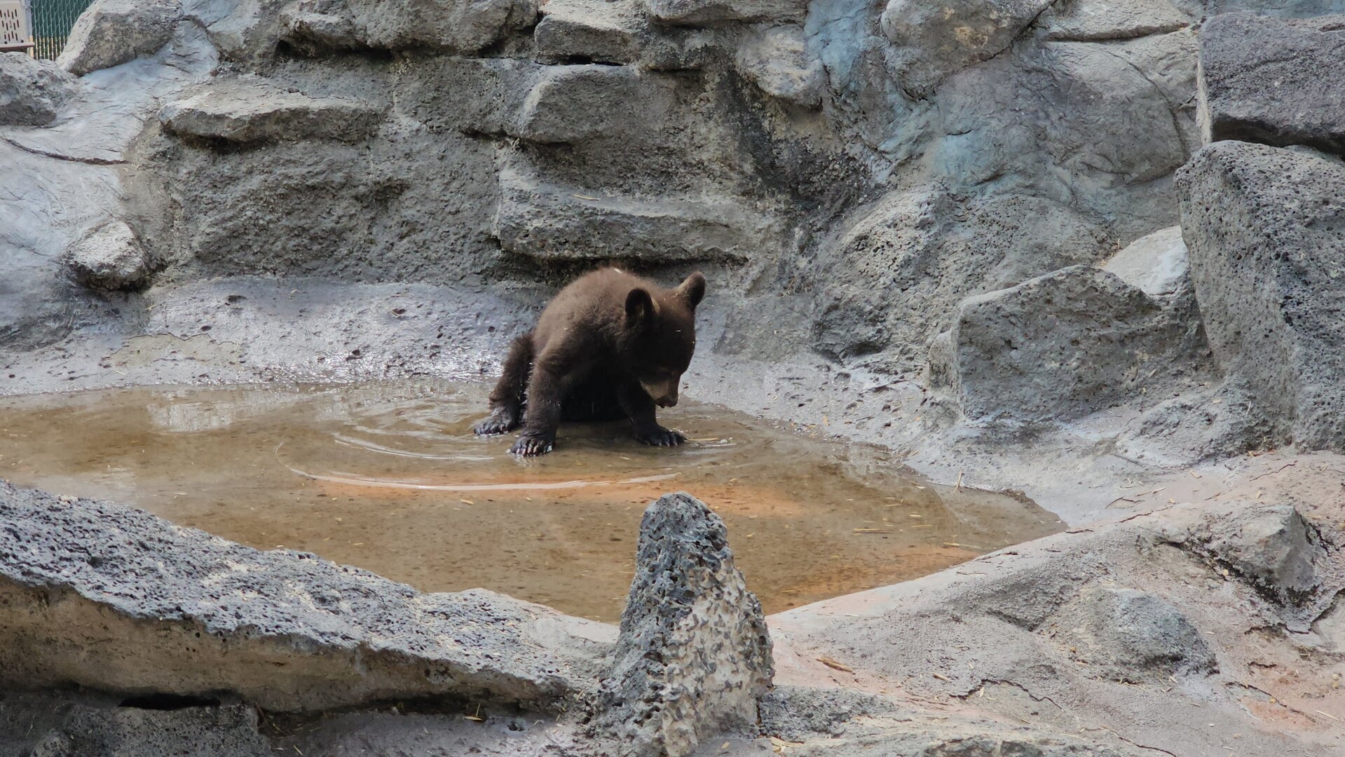 20230515_133244[1].jpg