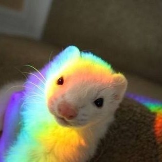 20230530_232706.jpg