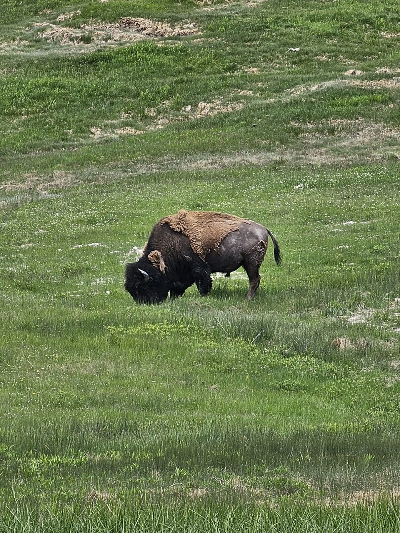 20230610_122233[1].jpg