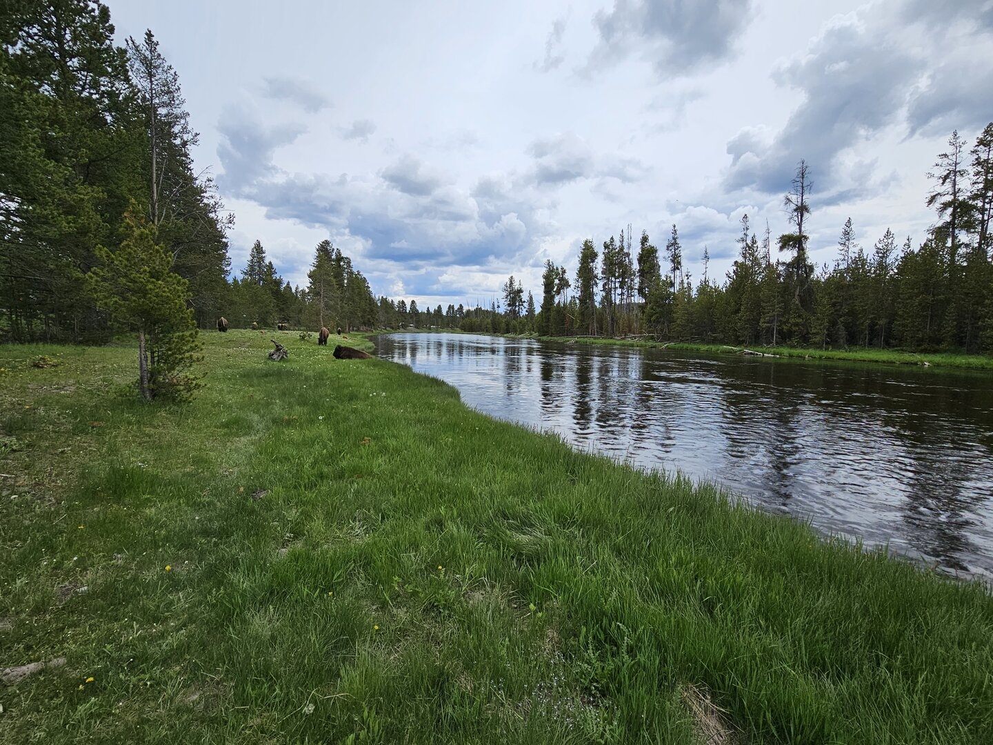 20230610_143023[1].jpg