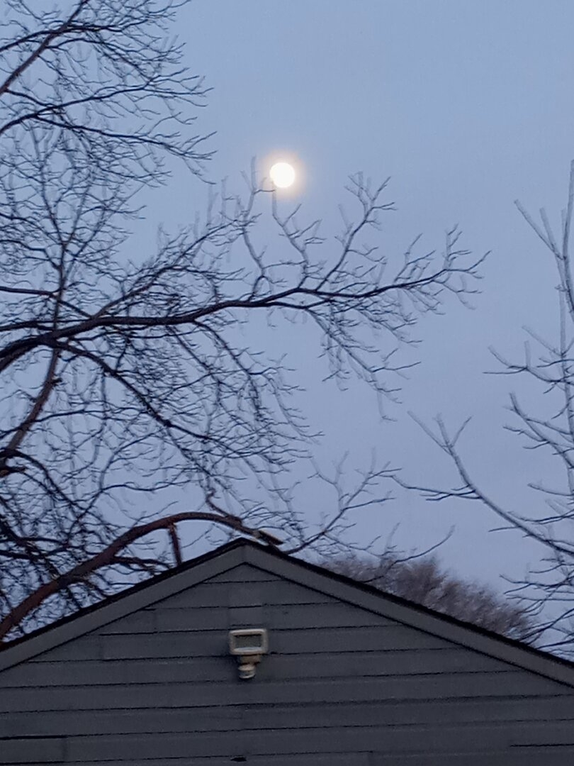 20231124_163047_HDR.jpg