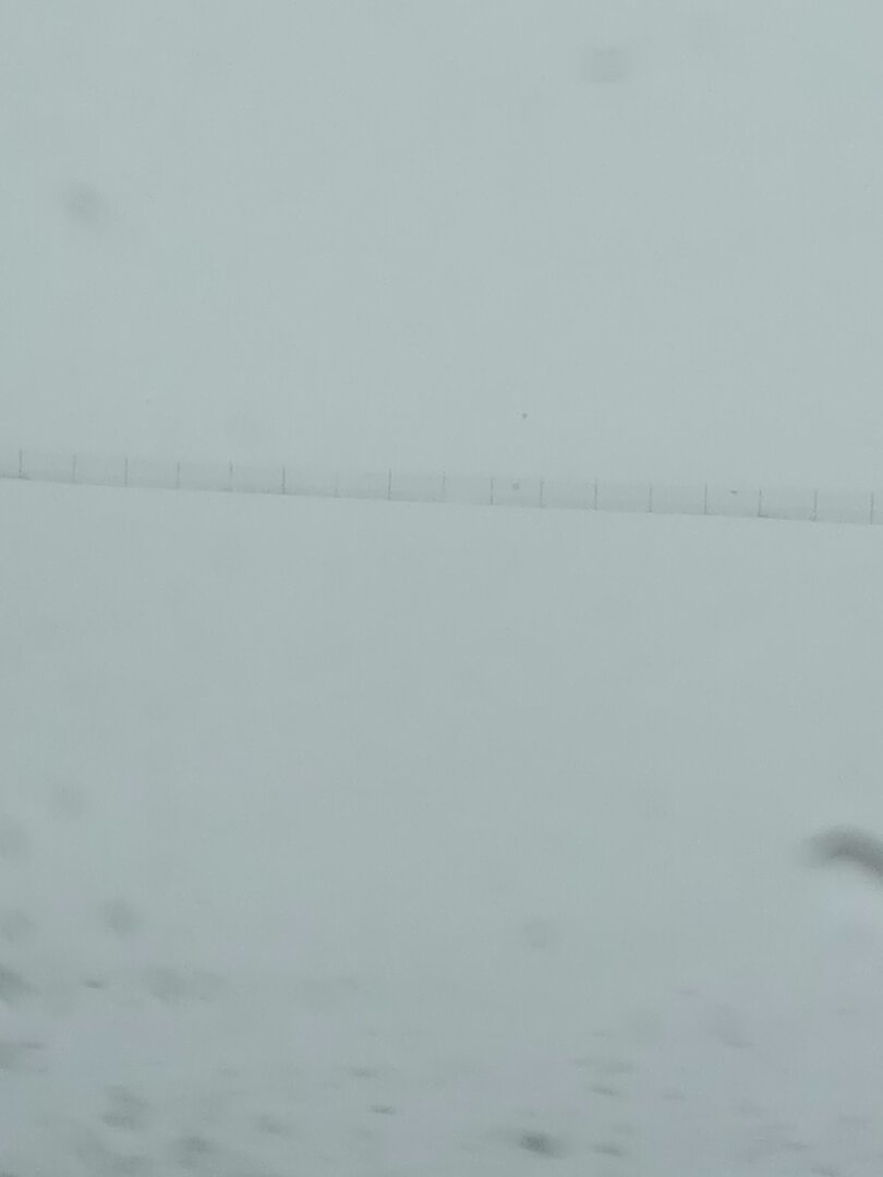 20240112_113031.jpg