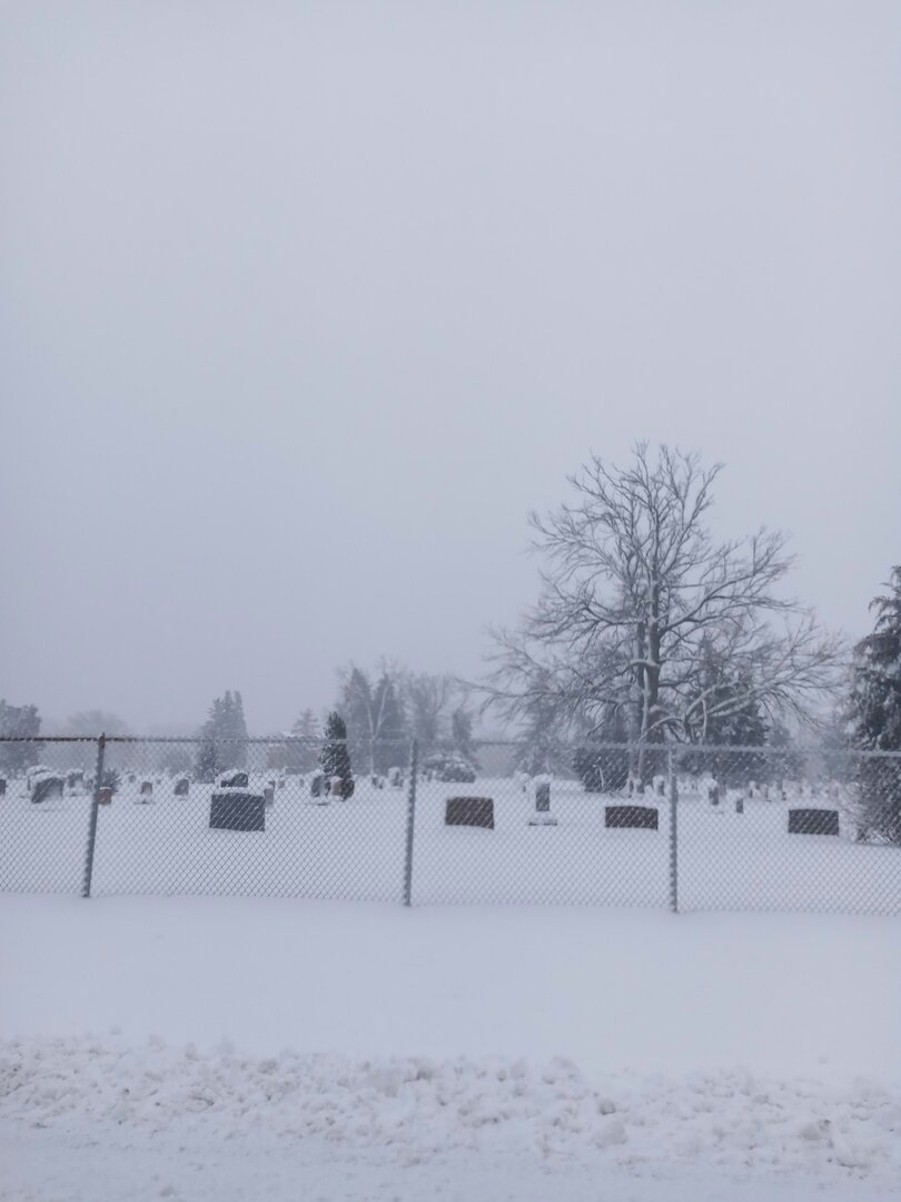 20240112_113234.jpg