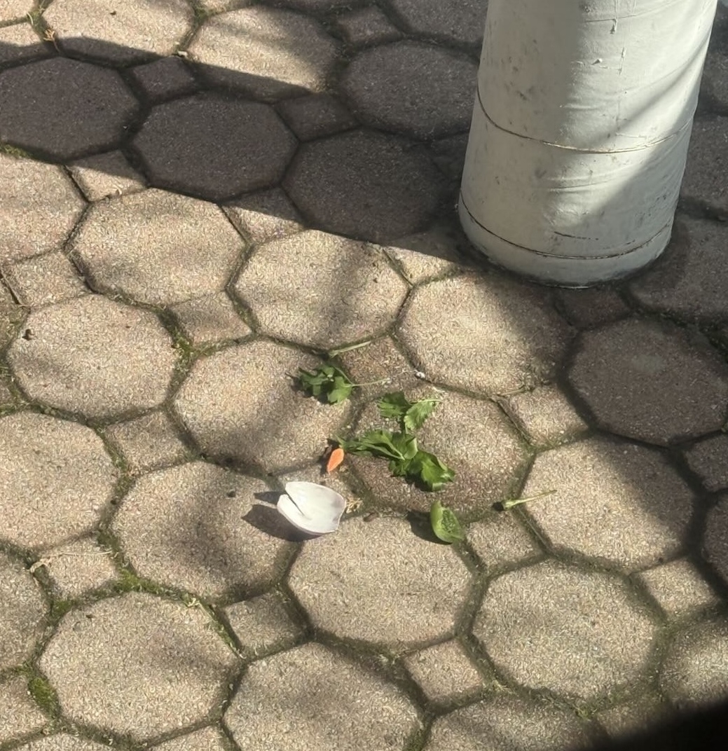 20260227-112108.jpeg