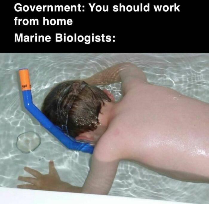 20F34D22-F716-43CD-AA7F-EA9690E817E8.png