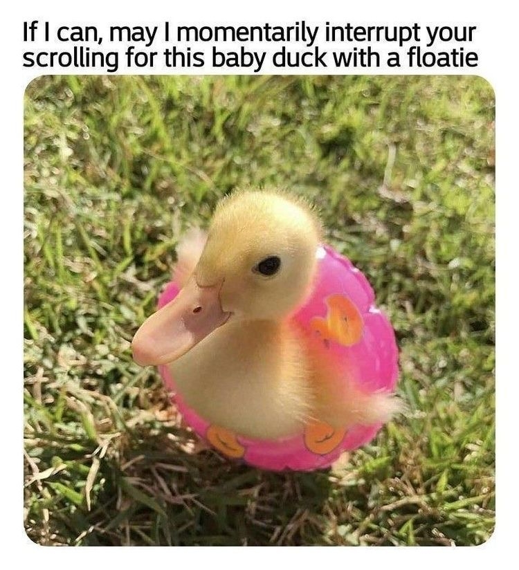 2119A599-B022-4AF1-B202-902C5AFEF436.jpeg