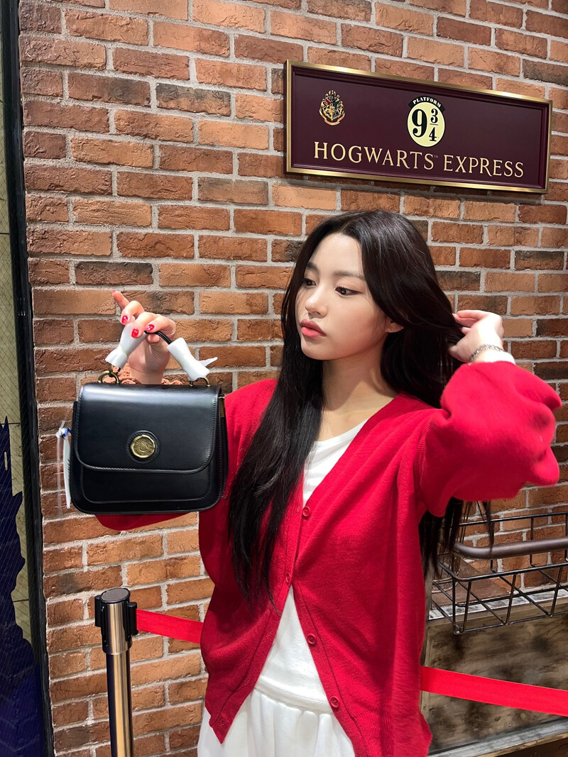 241103-CSR-Japan-Twitter-Update-with-DUNA-documents-2.jpeg