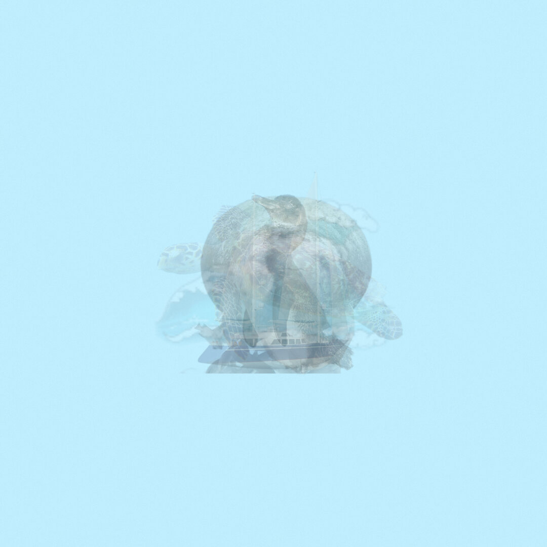 2432653D-3309-4A87-B54D-06BE1A323A33.jpeg
