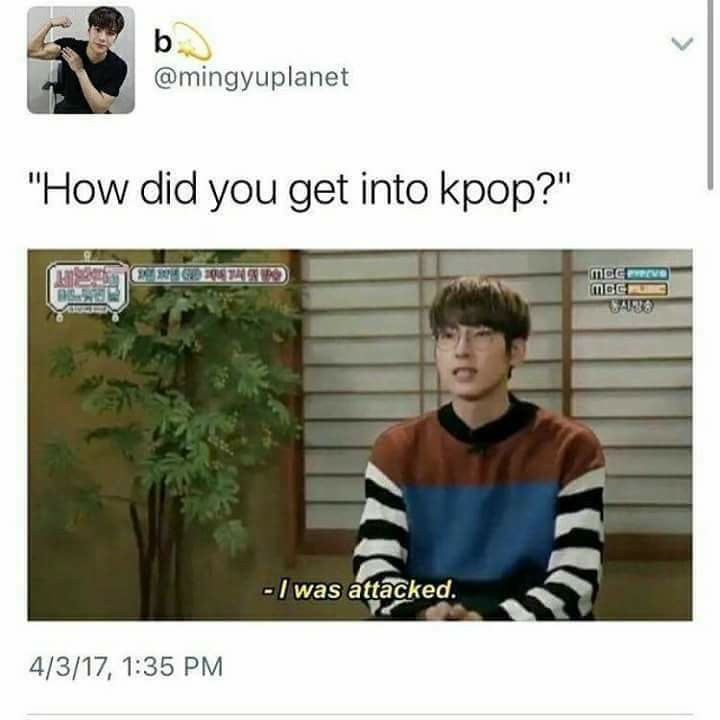 275b5627b00b42b0aff3e0504568c849--seventeen-wonwoo-seventeen-kpop-meme.jpg