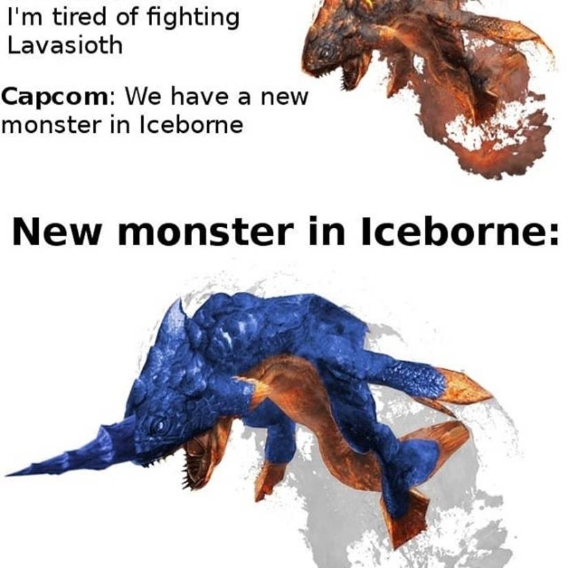 2786.jpg