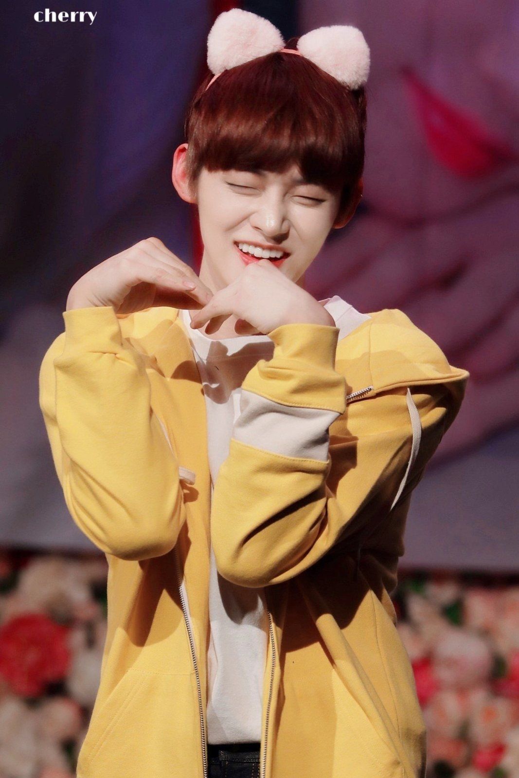 15117