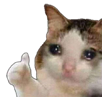 30.png