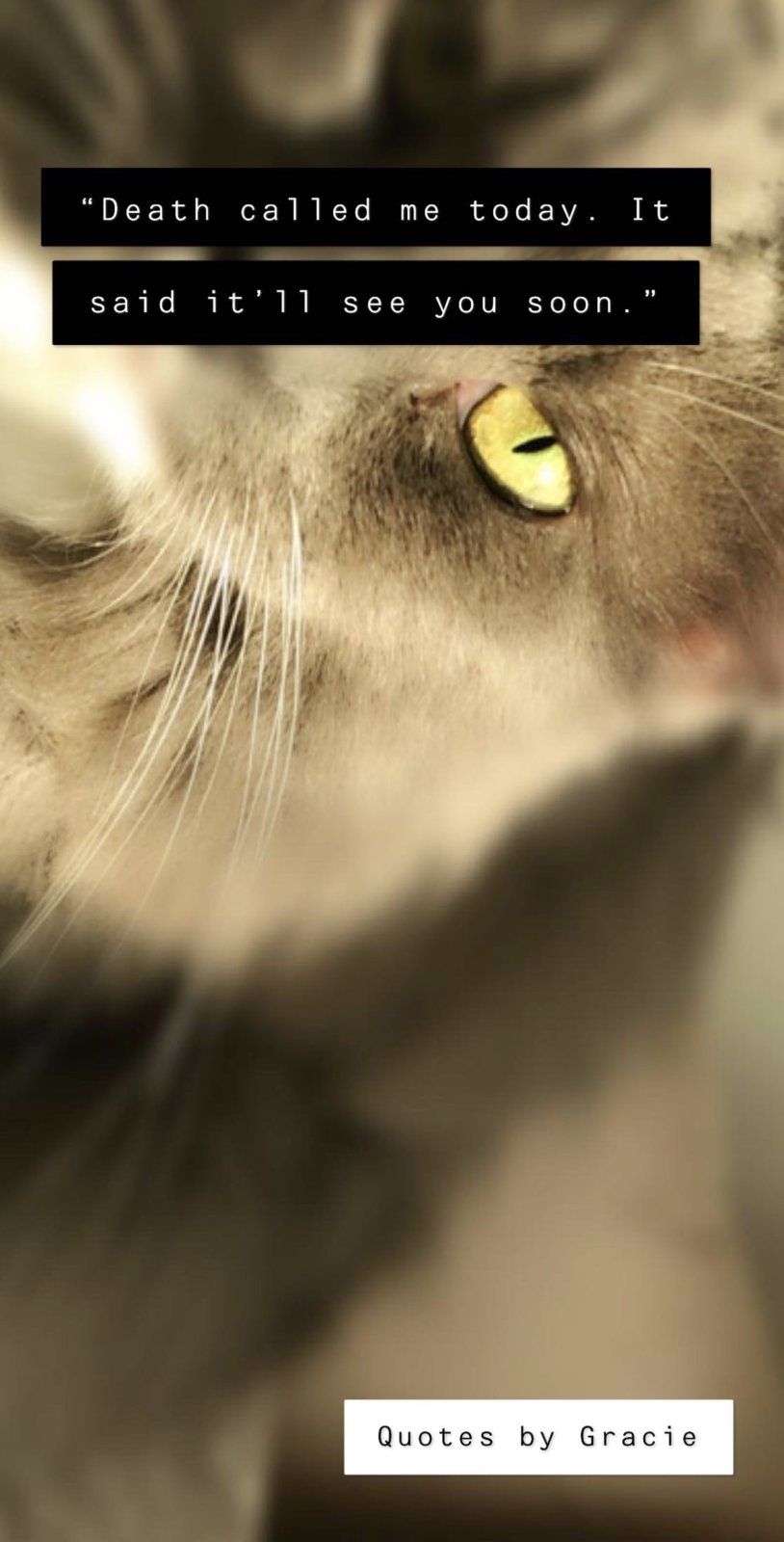 13221