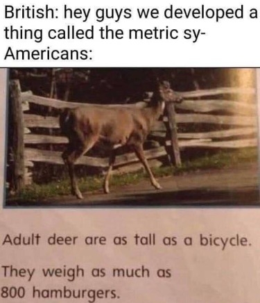 302C301C-AB11-4D7C-AE9F-508342954E2D.jpeg