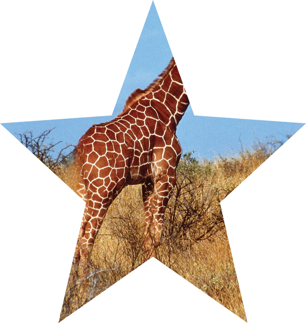 324F0ECD-D856-47A3-821B-96D11FB7473E.png