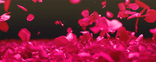 329113-Blowing-Rose-Petals.gif