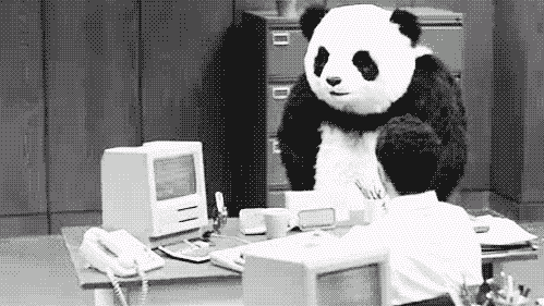 33D6961C-96BB-47ED-BE2A-516E29A034D7.gif
