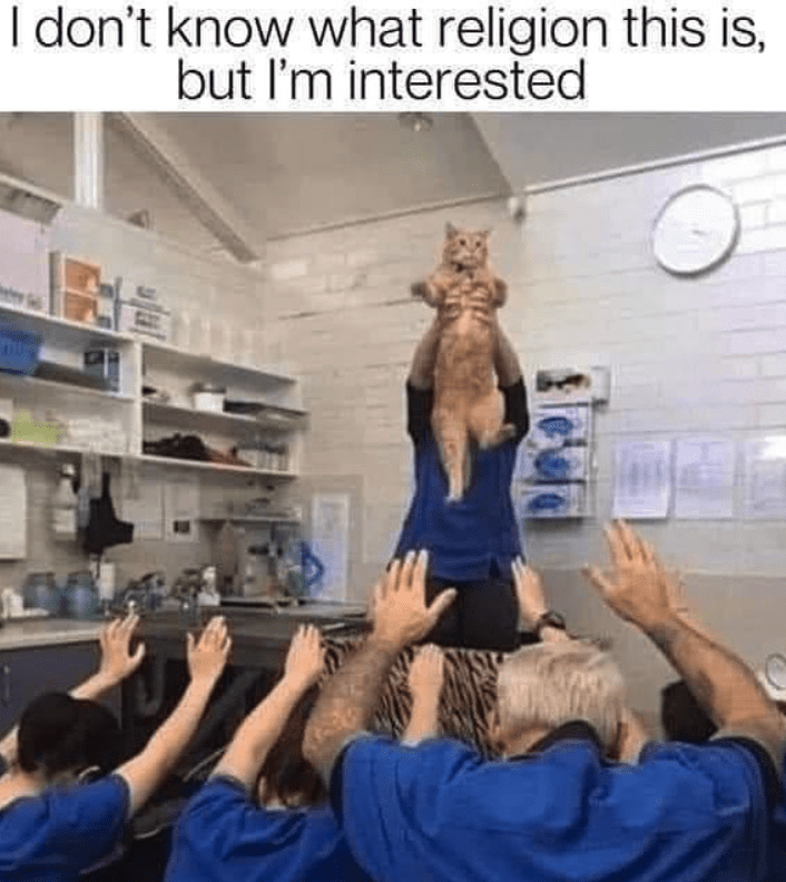 33F6045D-24C5-4FBA-BA03-89F1B875B512.png