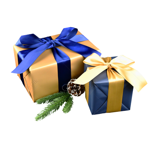 351969C9-8250-431F-A20D-99E2D400C40F.png