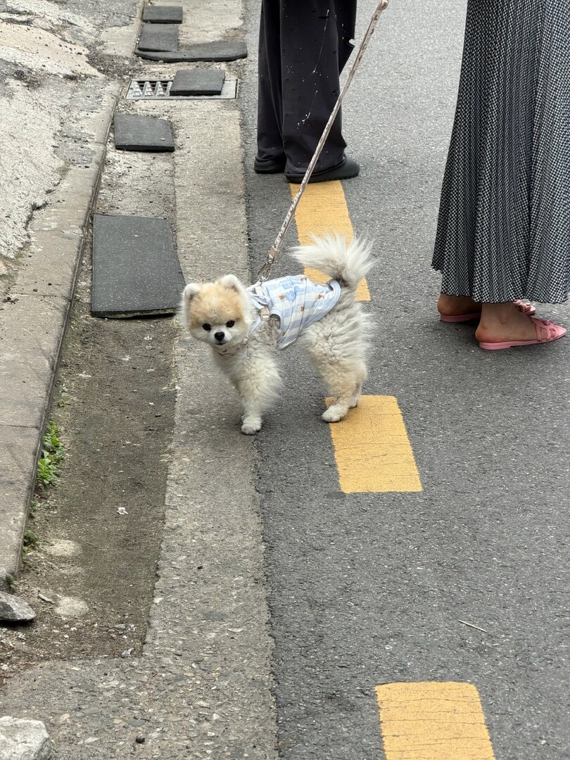 3854.jpg
