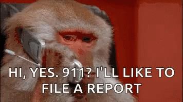 39AA2472-8F51-4B7F-B38A-214AFD33090F.gif