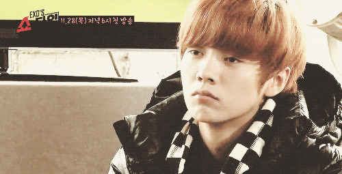 3A21A566-C11A-4EEA-956E-9DEF8D5C34CA.gif