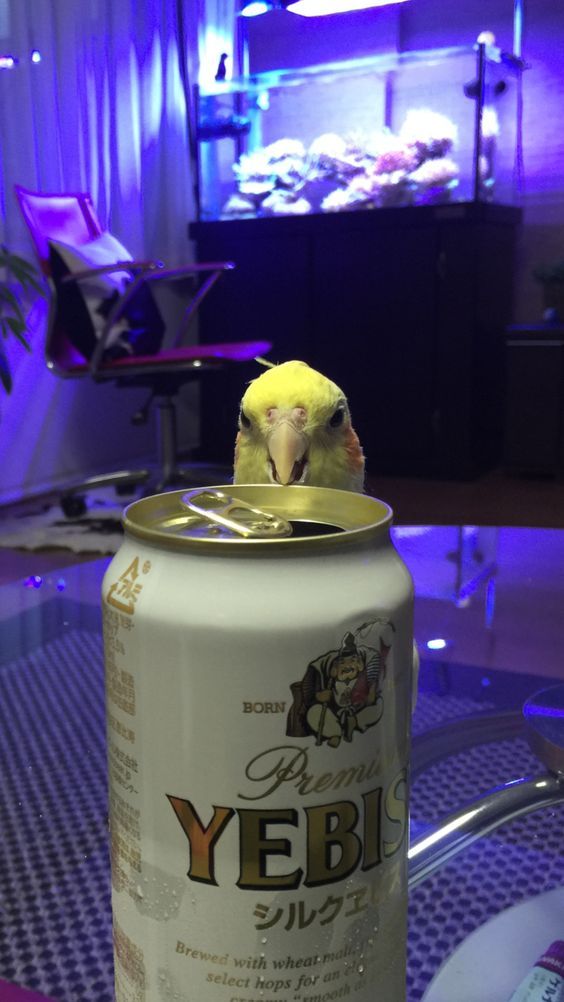 3d4f332661fbee7dbe7f208dbb95d615.jpg