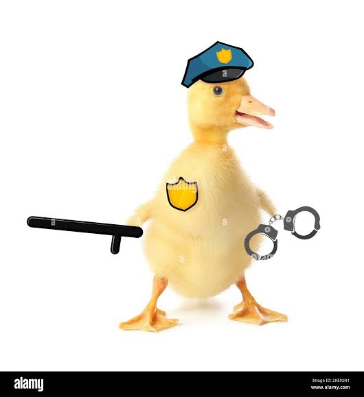 4733.jpg